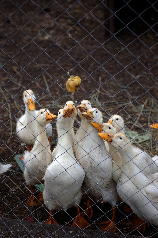 Photograph by Екатерина Иванова