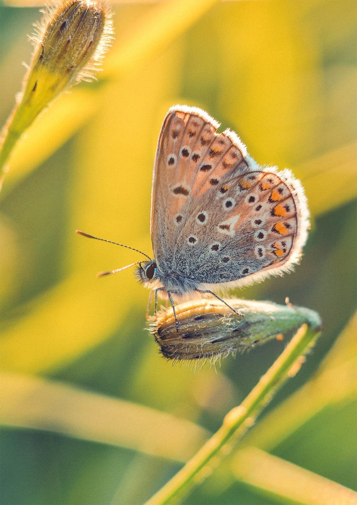 Photograph by Олеся zme