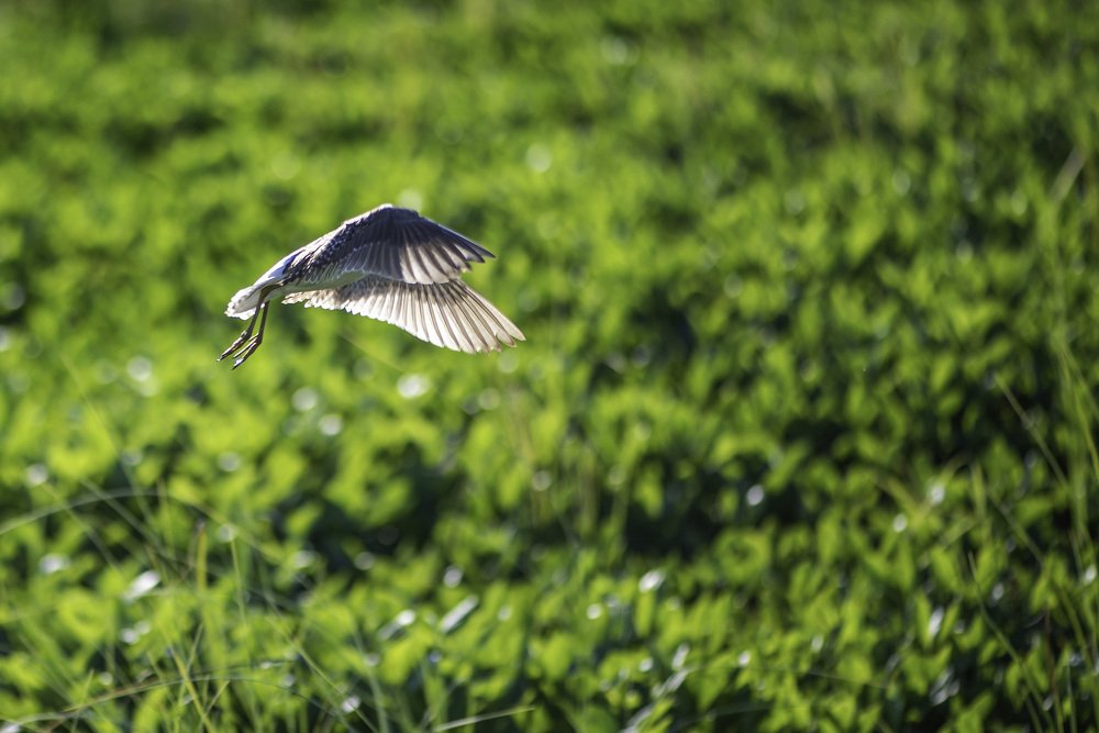 Photograph by Кадырова Марина