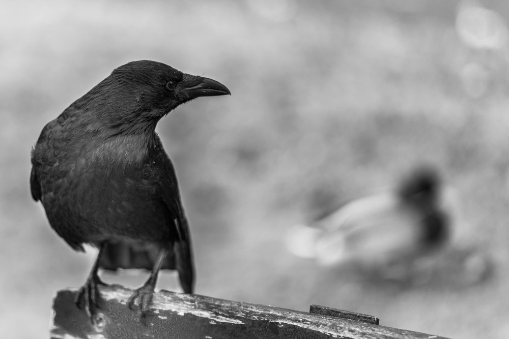 Photograph by Vasilis Christou