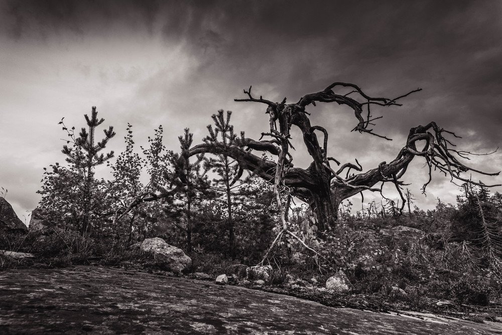 Воттоваара - Забвение Богов