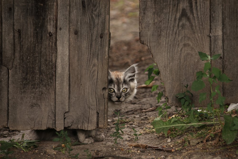 Photograph by Наталья Гайдукевич