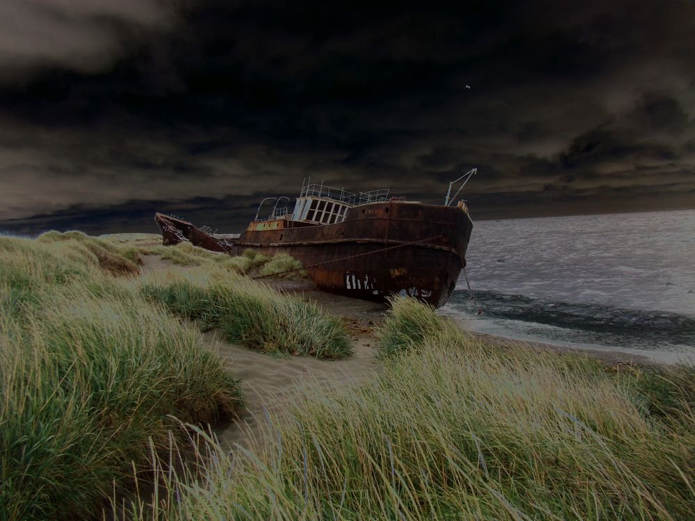 Photograph by Elena Vicente