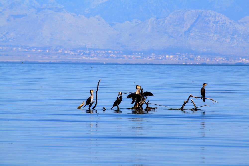 Photograph by Анастасия Солодкая