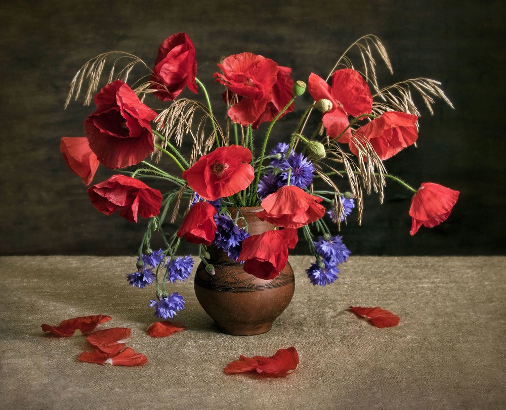 Photograph by Вера Лопатина