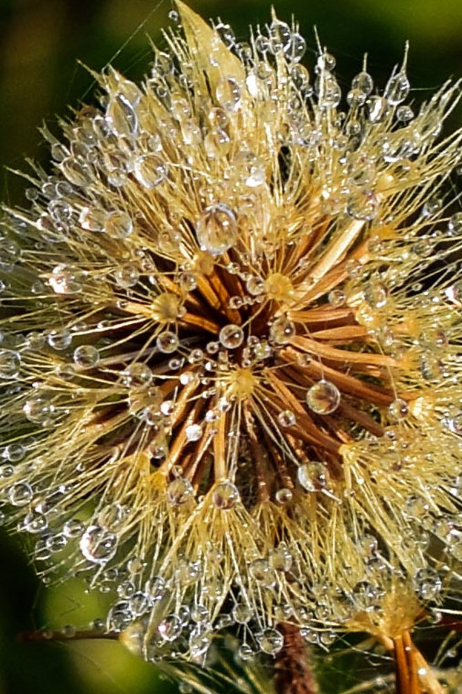 Photograph by Чеботарёва Валентина Петровна