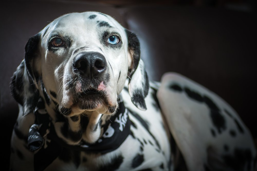 Mulder, why so serious?