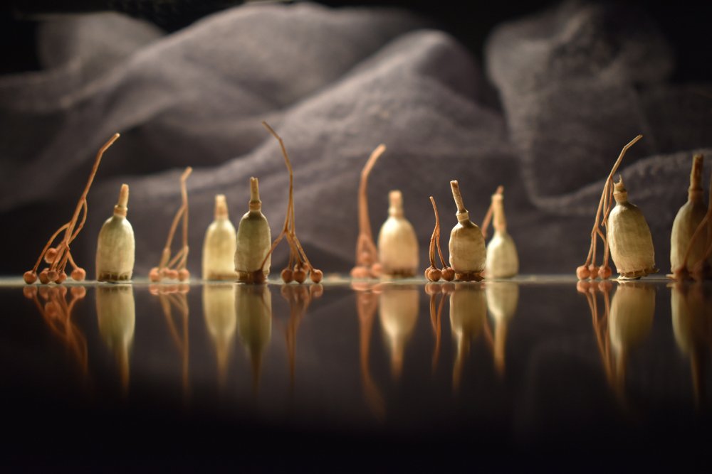 Photograph by Татьяна Золотарева