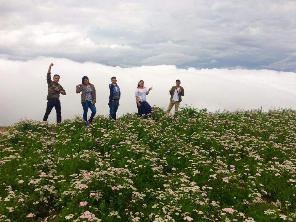 Sea of Clouds and Flowers