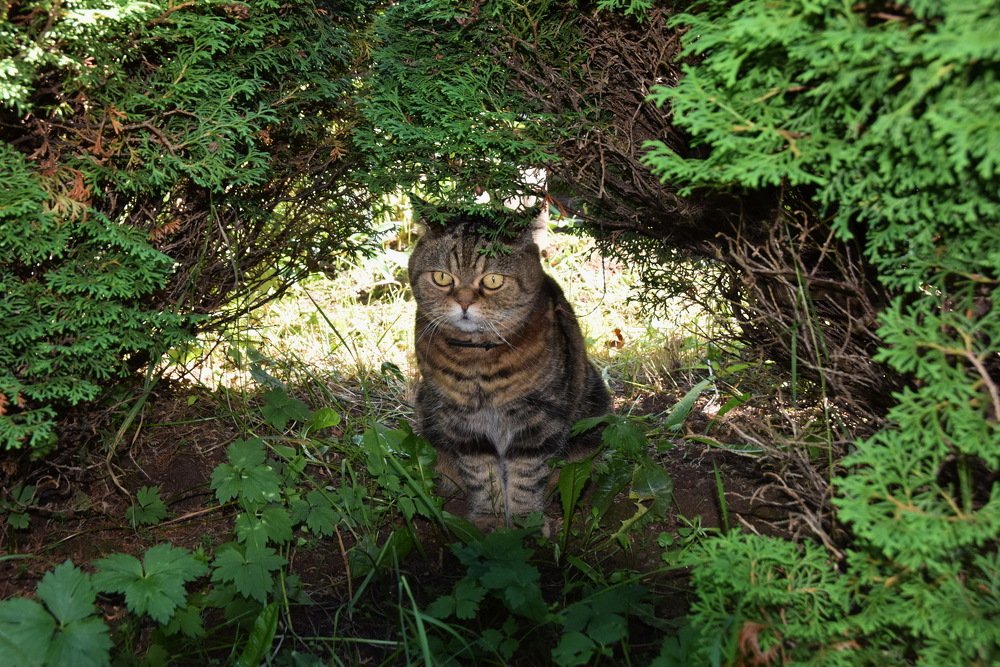 Photograph by Galina Leskova