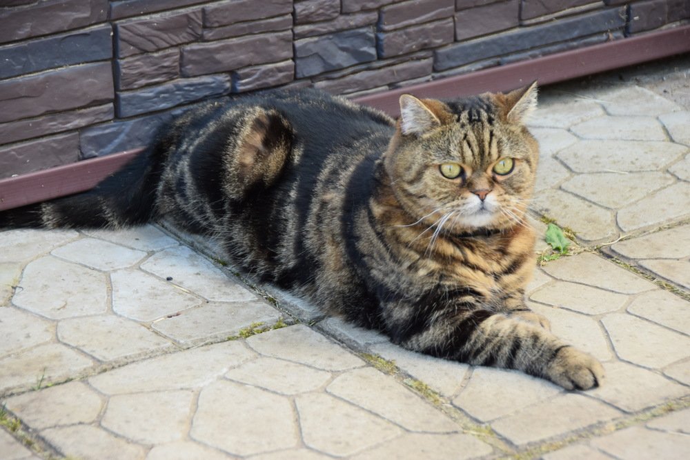 Photograph by Galina Leskova