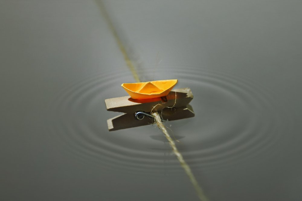 Фотография автора  Gemini