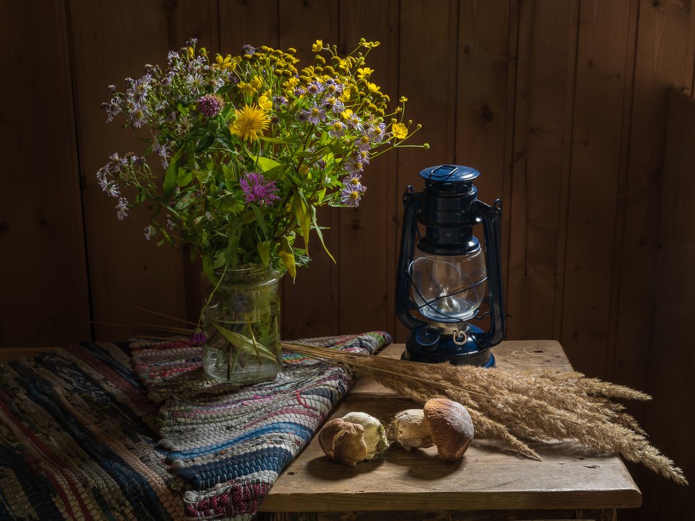 Полевые цветы.