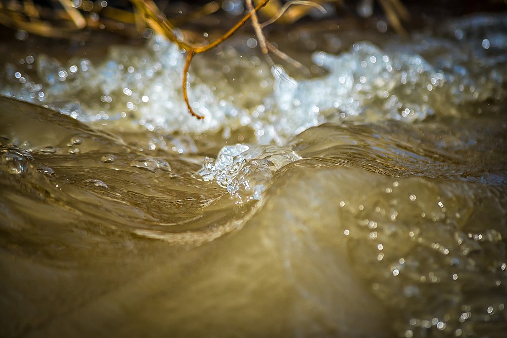 Photograph by Ильдар Шангараев