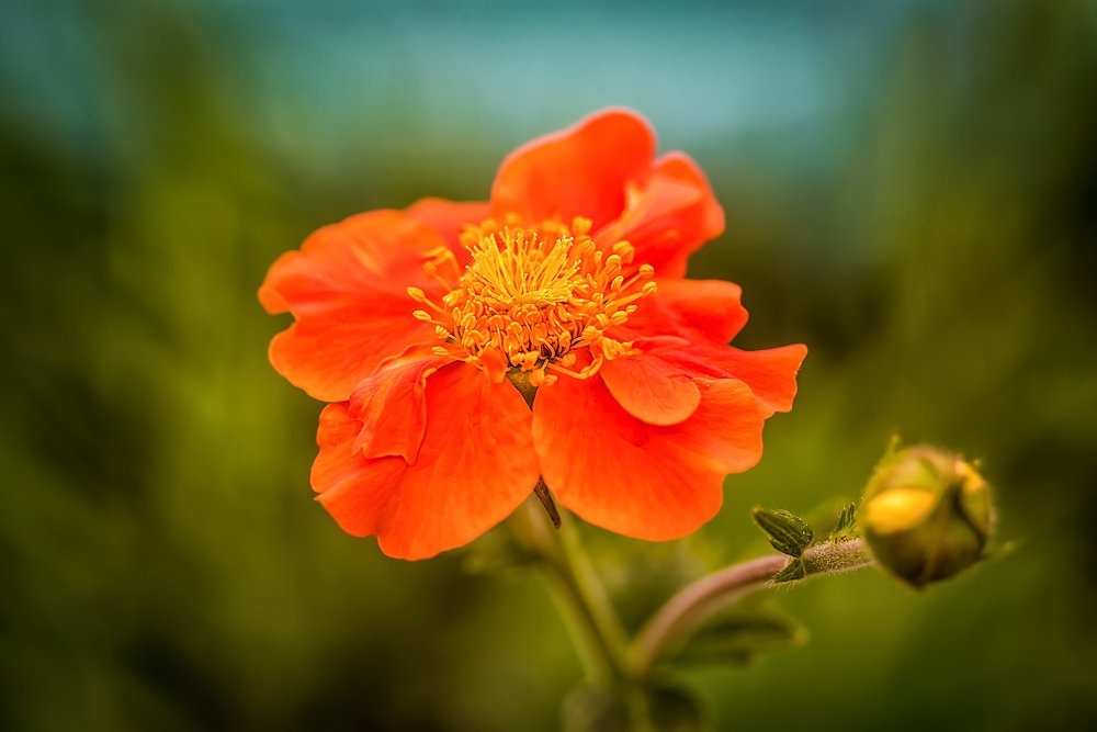 Photograph by Ильдар Шангараев