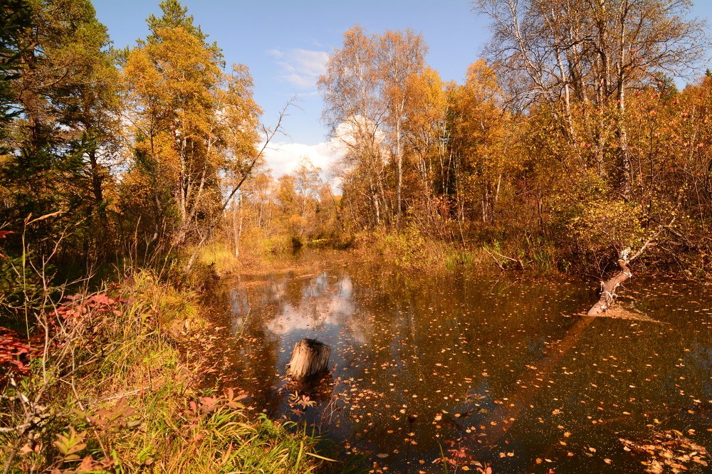 Photograph by Самигулов Хафиз