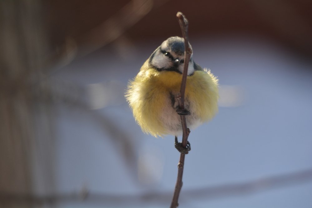 Photograph by Самигулов Хафиз