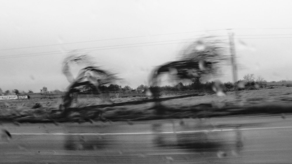 Photograph by Seyyed Mostafa Seyyedalhoseini
