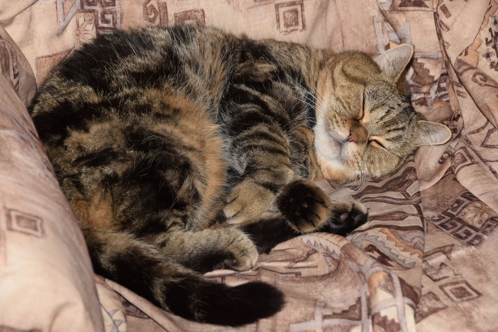 Photograph by Galina Leskova