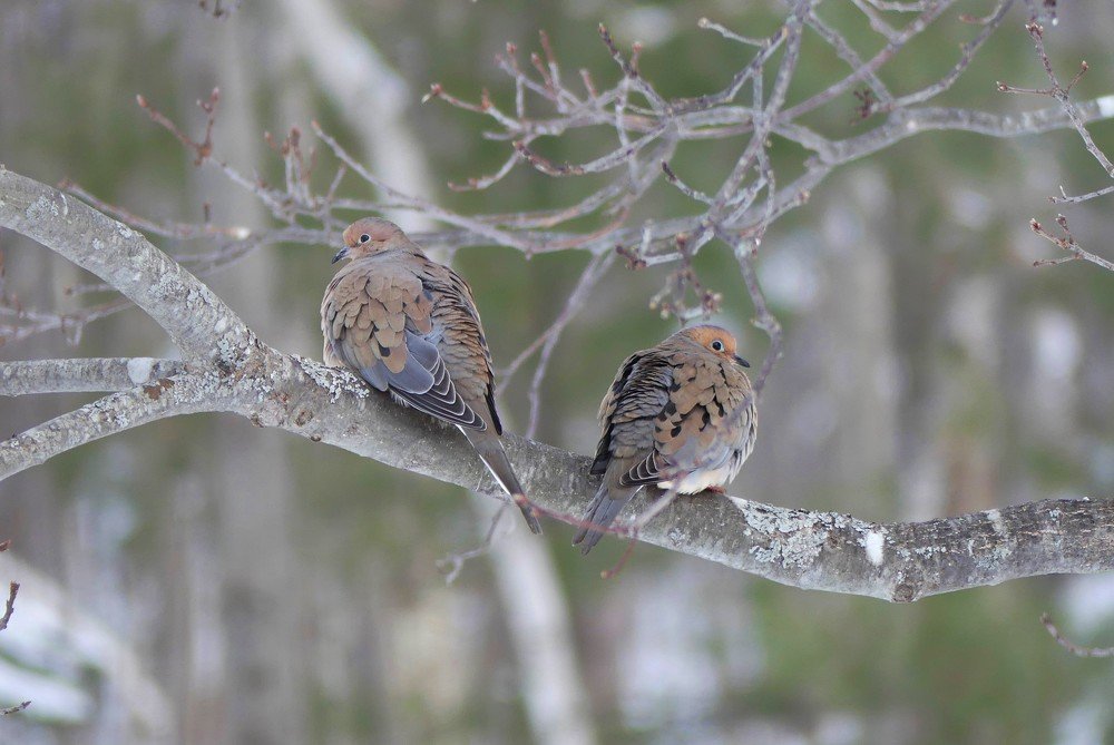 Photograph by ali bakhshi