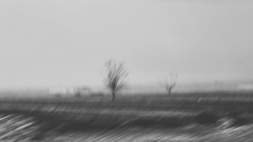 Photograph by Seyyed Mostafa Seyyedalhoseini