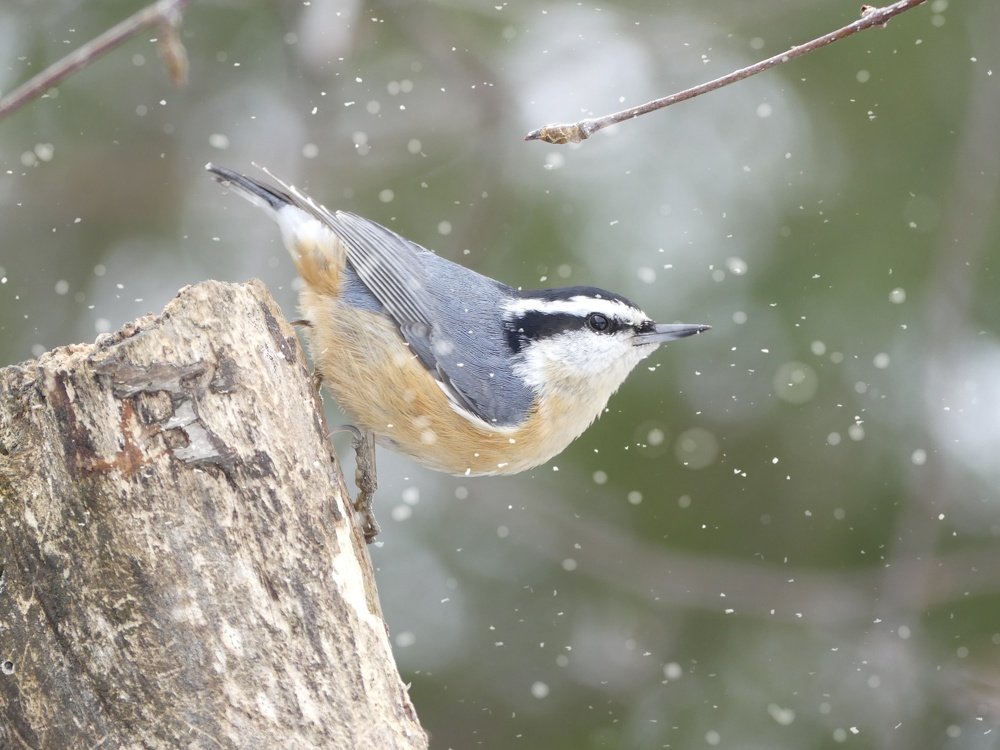 Photograph by ali bakhshi