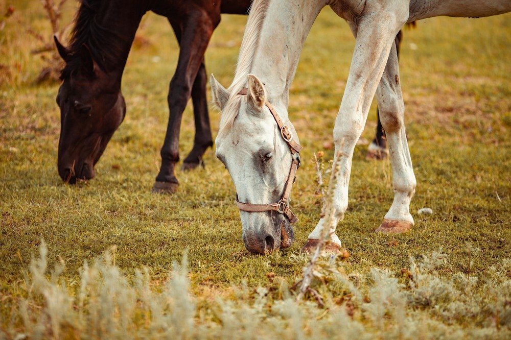 Photograph by Марина Комина