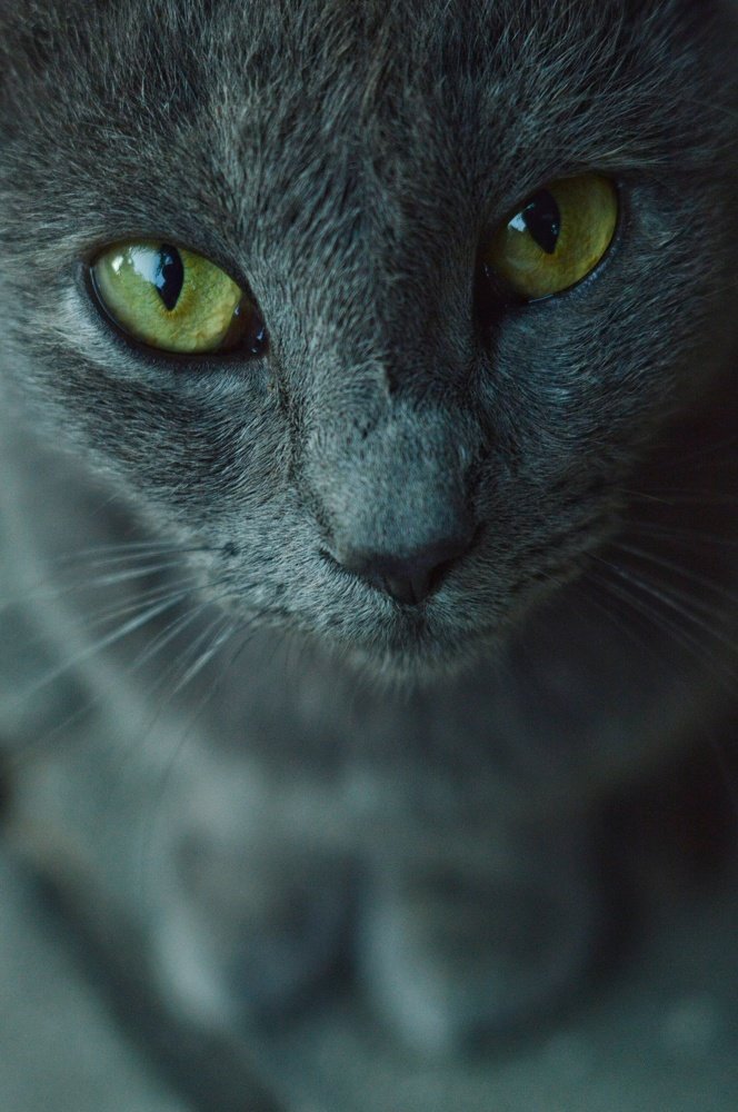 Photograph by Константин Бокарев