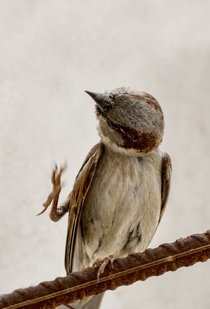 Photograph by tamem aws