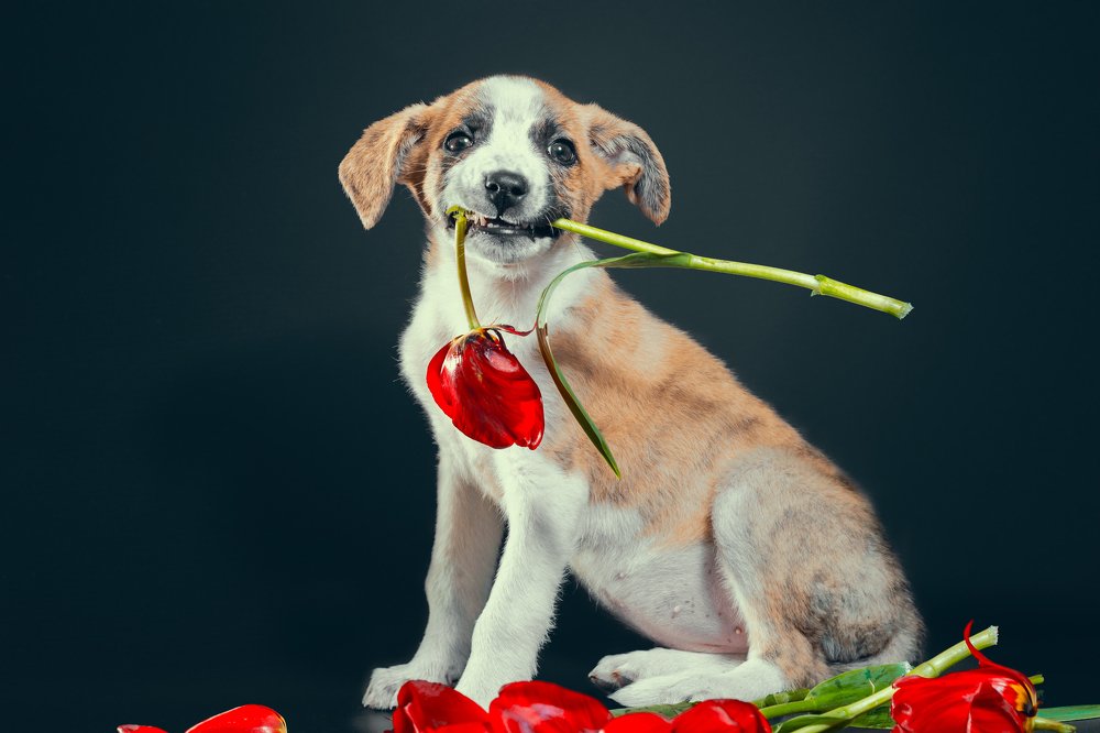 Фотография автора Гера Восьмая