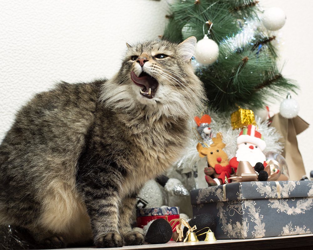 Photograph by Inessa Botasheva