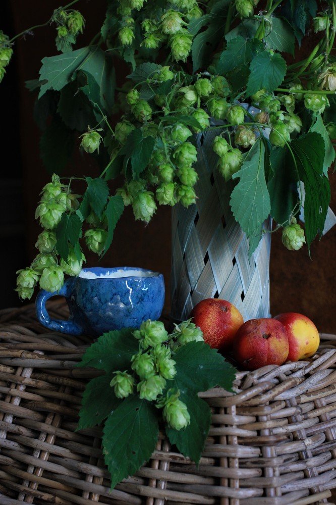 Photograph by Екатерина