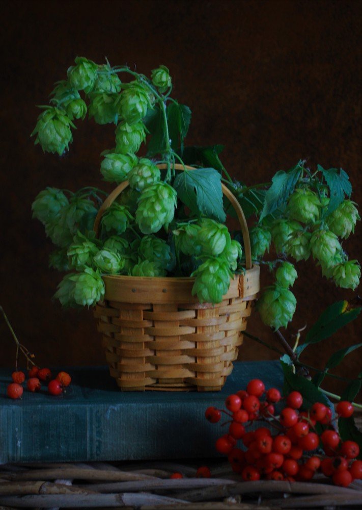 Photograph by Екатерина