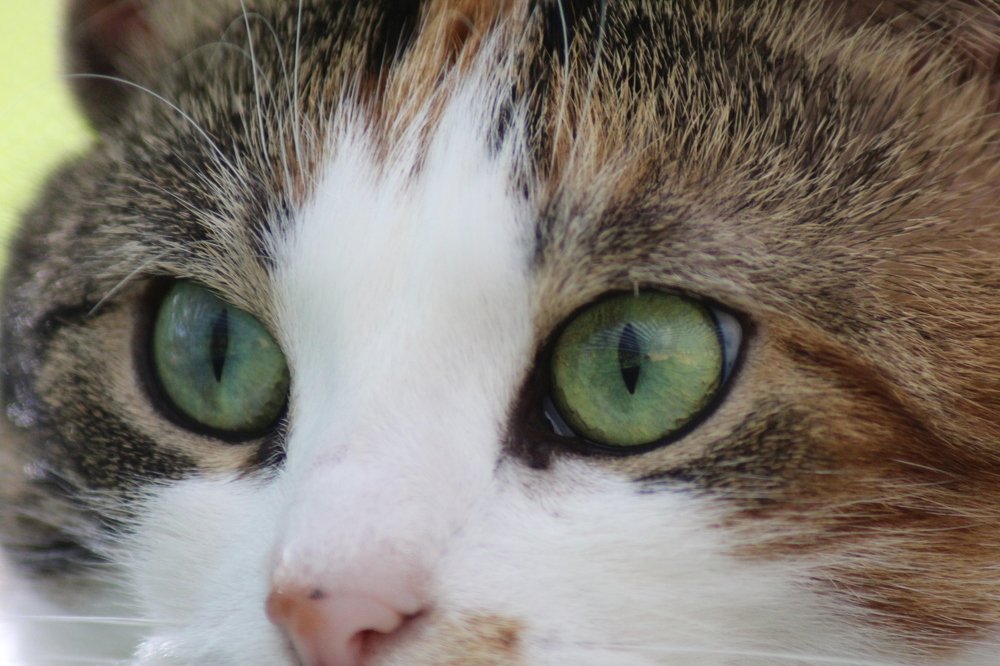 Photograph by Валентина