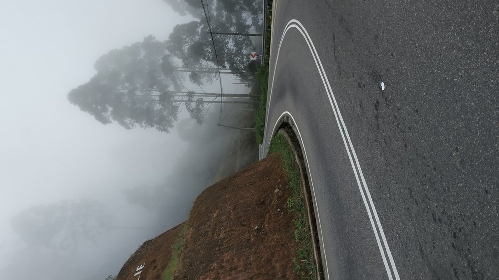 Фотография автора Анастасия Мараховская