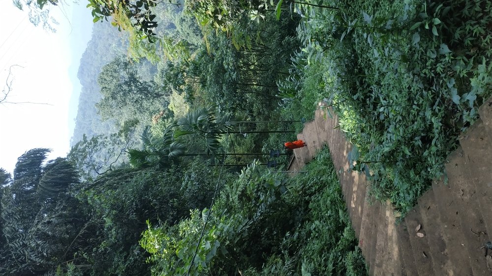 Фотография автора Анастасия Мараховская