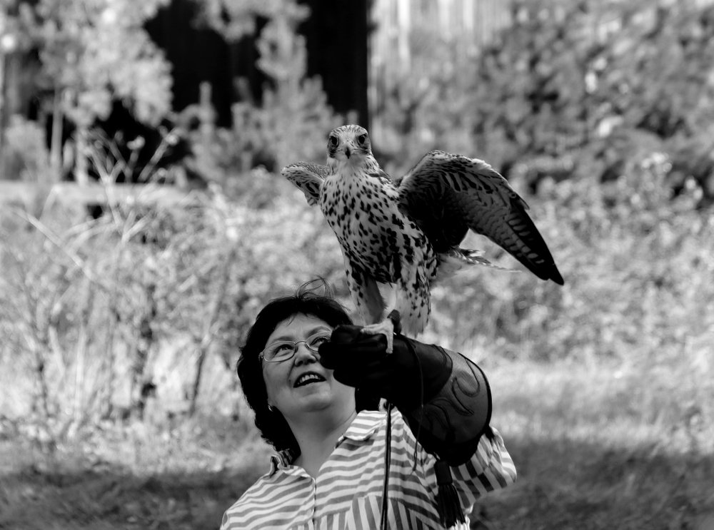 Photograph by Николай Диордиев