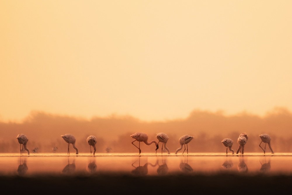 Photograph by parth kansara