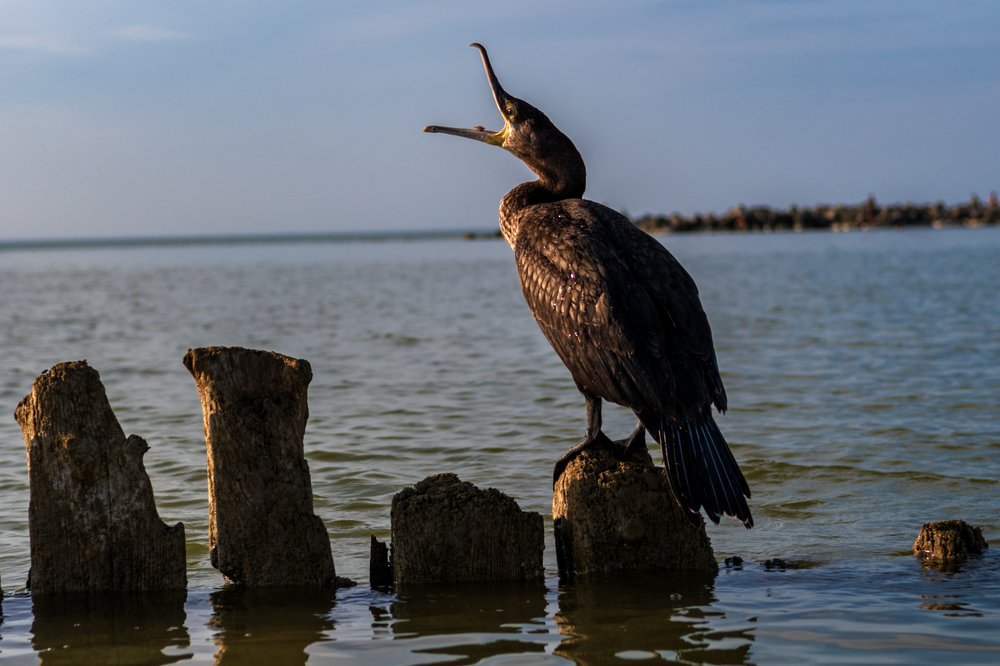 Photograph by Демьян Лопатов