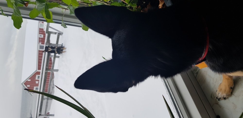 Photograph by Elisabeth Vinther