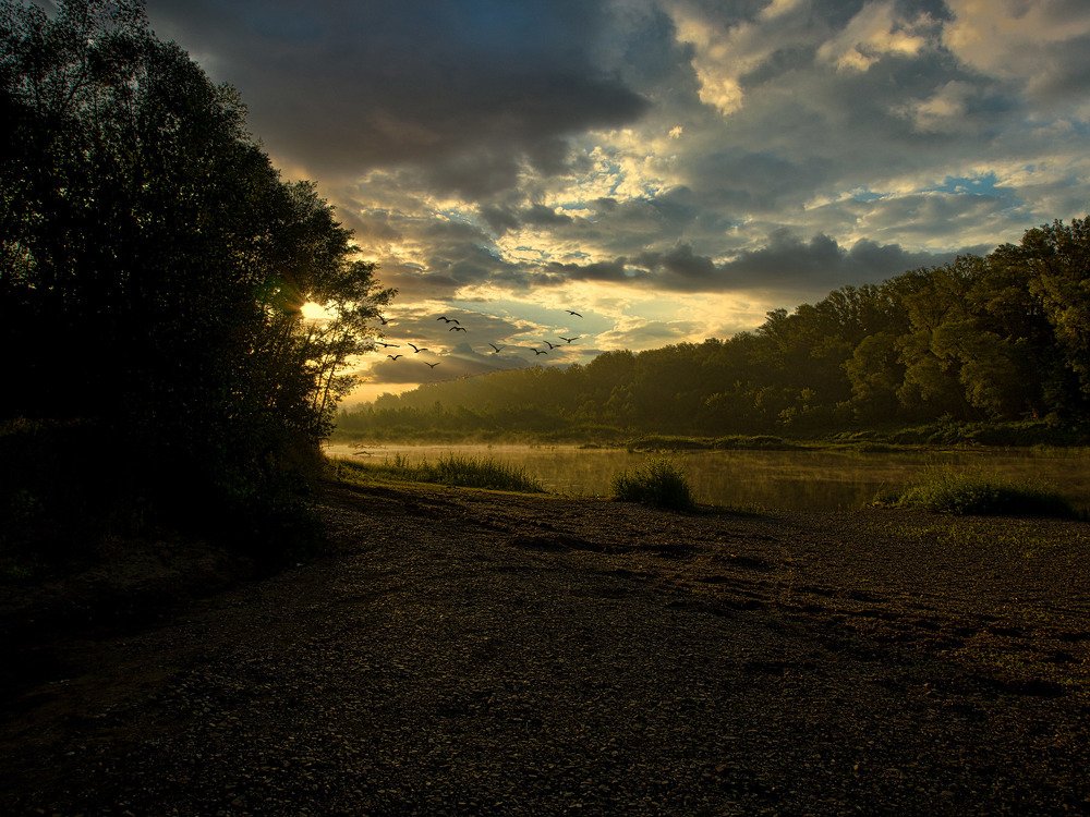 Утро над рекой