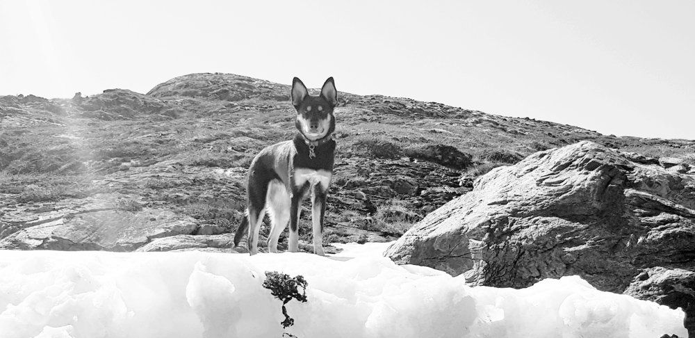 Photograph by Elisabeth Vinther