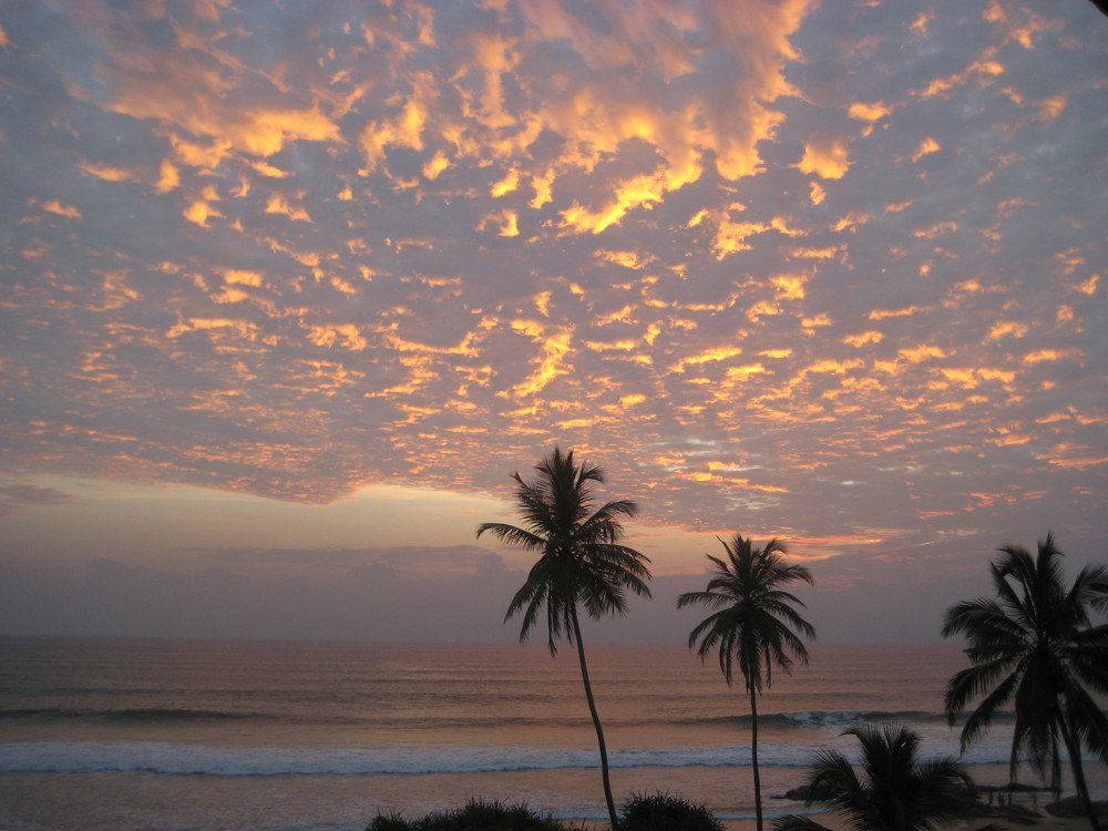 Photo #4968257