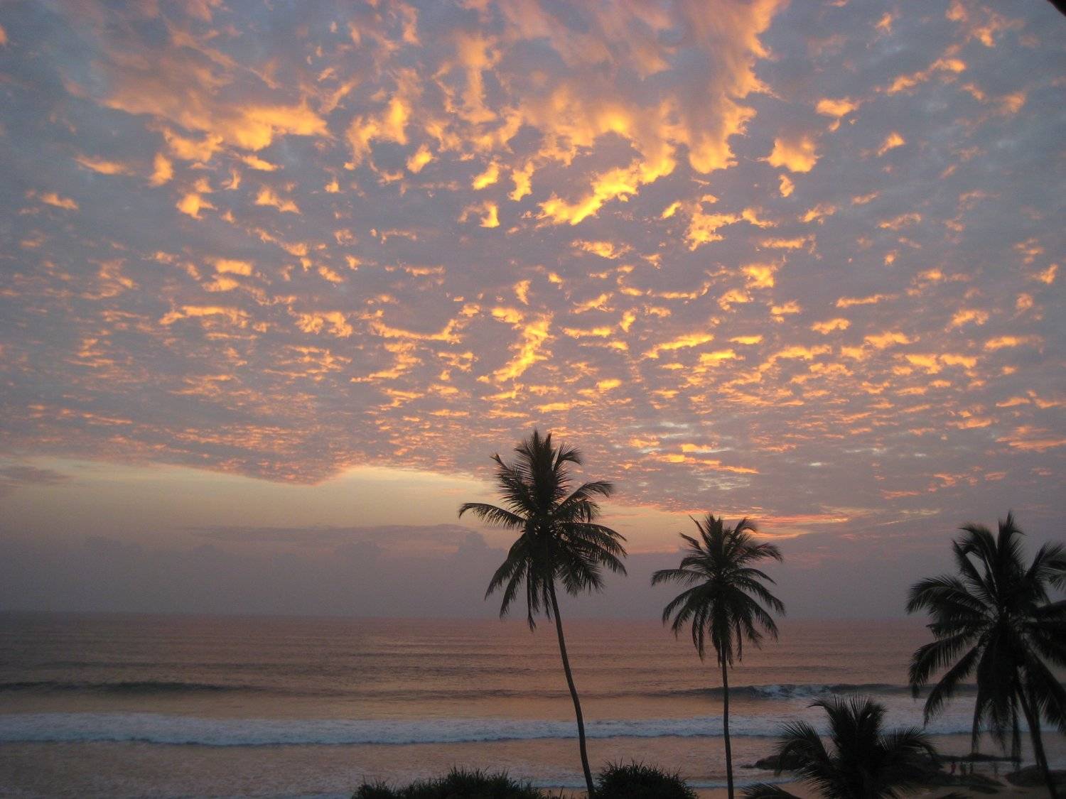Photo #4968257