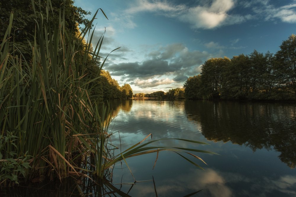 Photograph by Сергей Бибиков