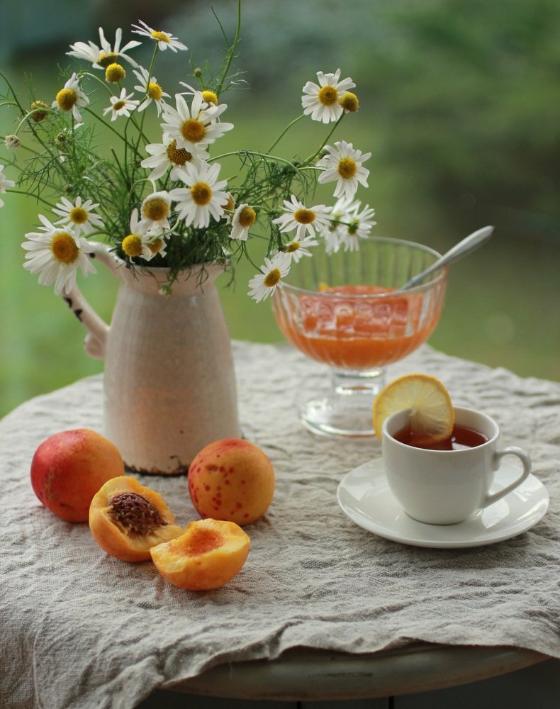 Photograph by Екатерина