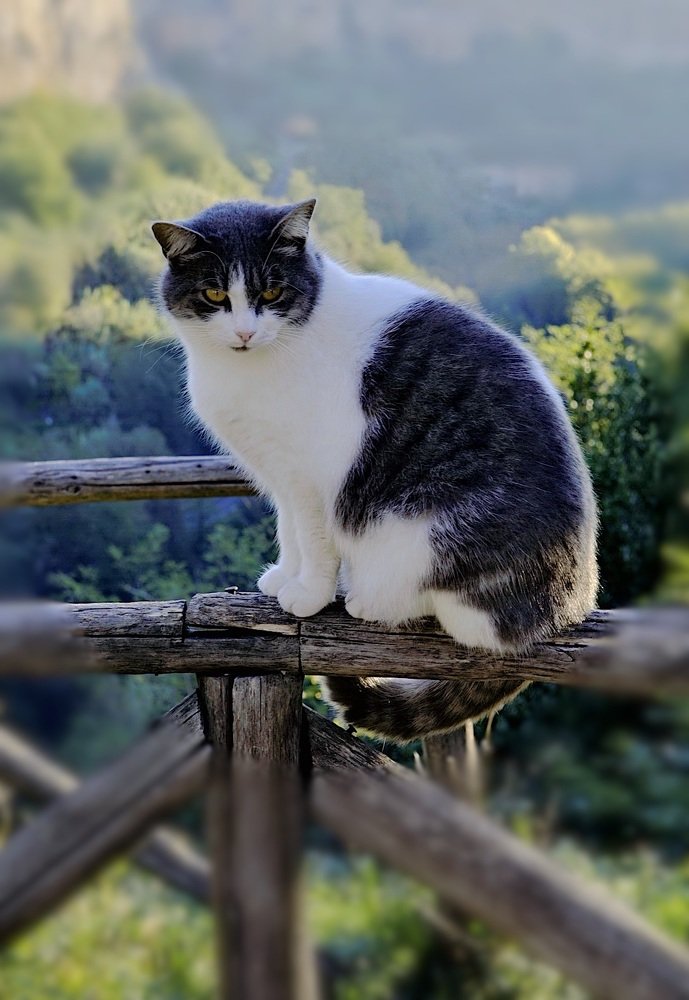 Photograph by Ольга Одаренко