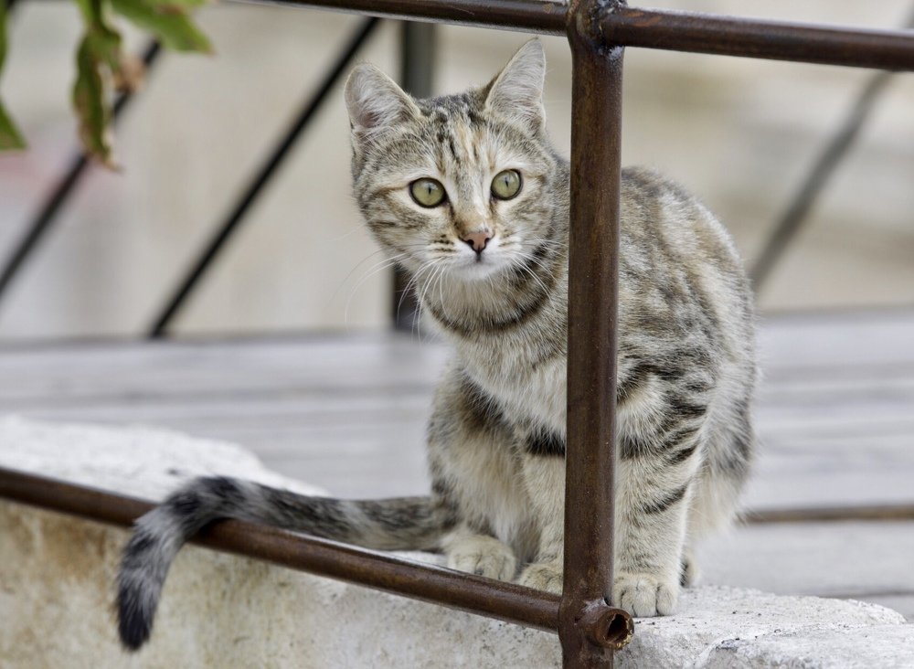 Photograph by Ольга Одаренко