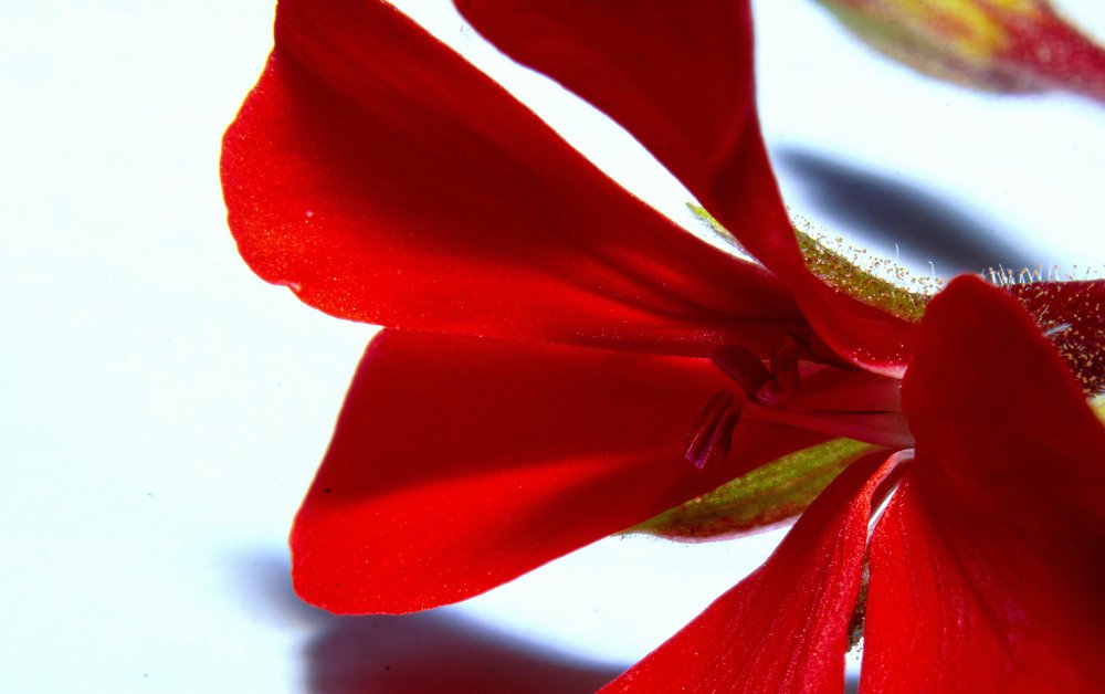 Photograph by El Haddi Yousfi