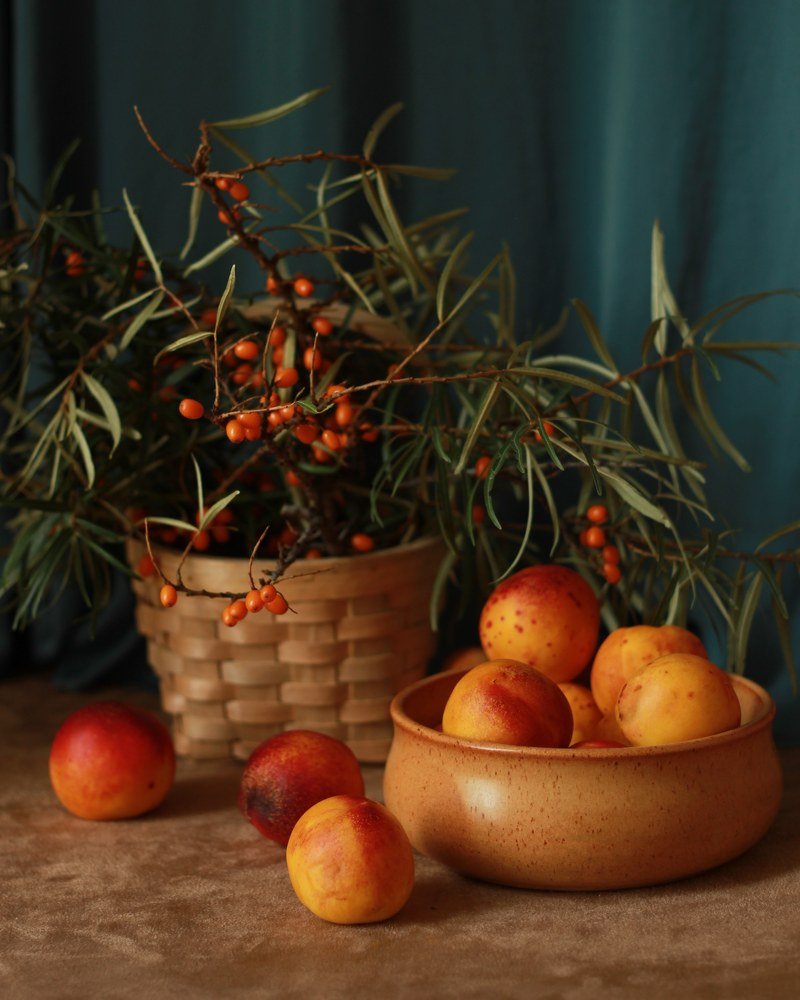 Photograph by Екатерина